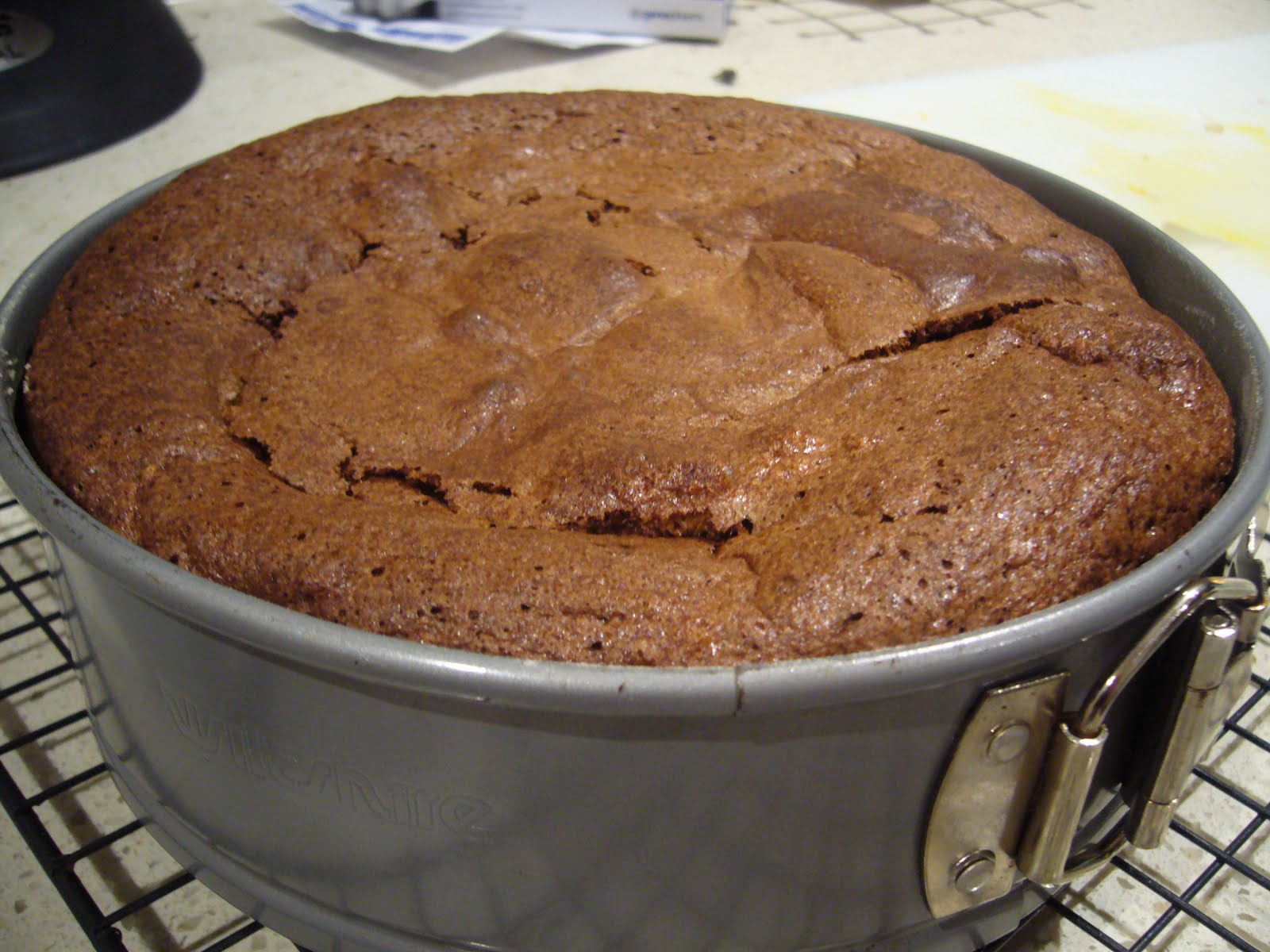 [Cake+in+tin.JPG]
