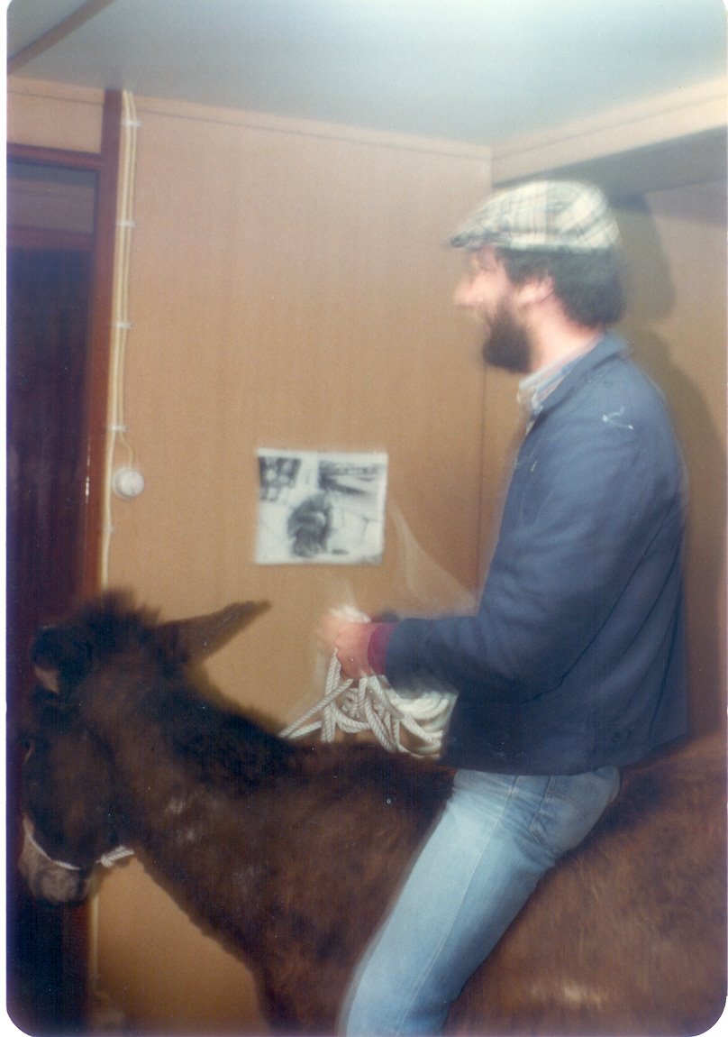 [Burro.jpg]