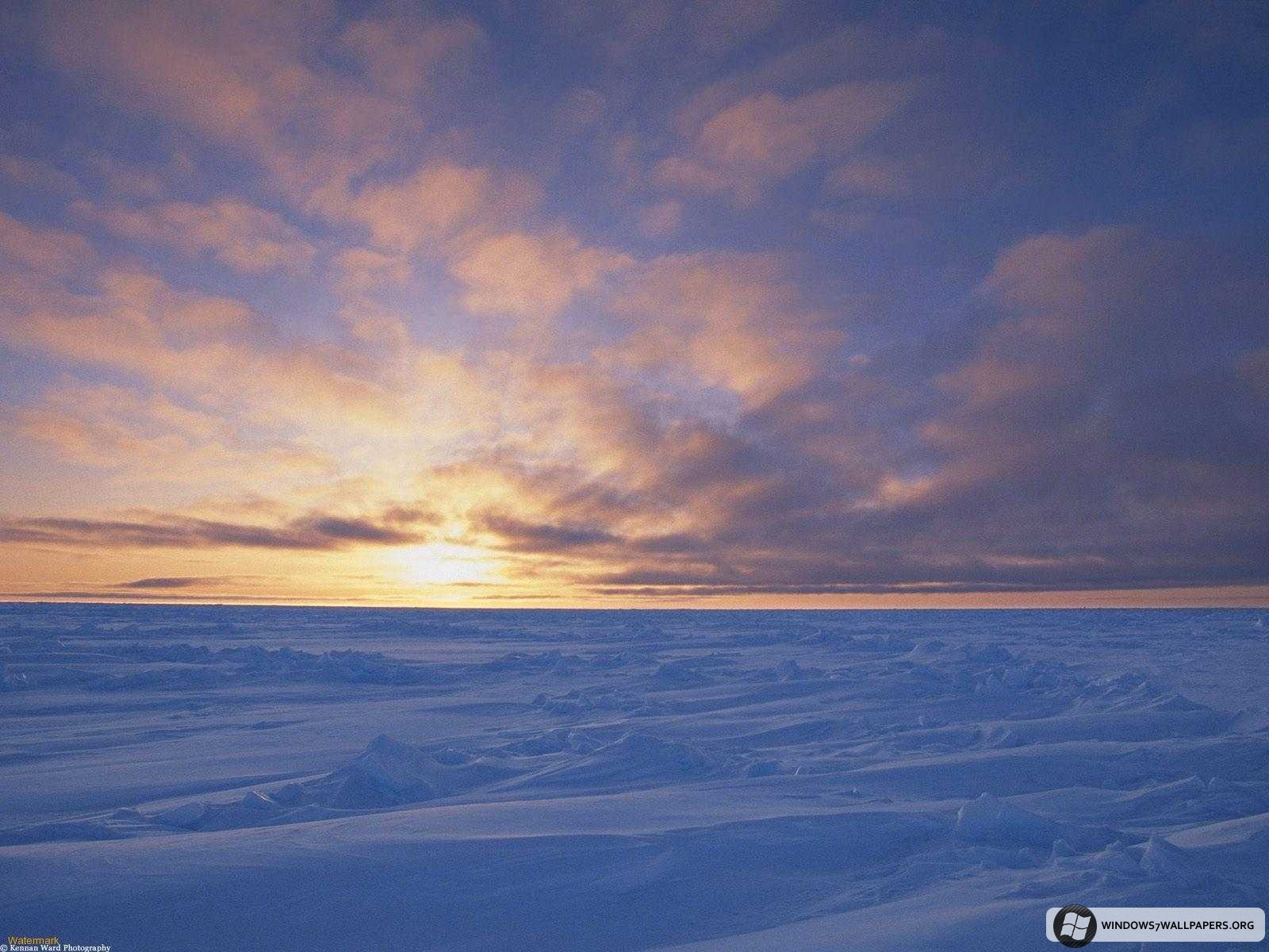 [Arctic-Ice-Pack--Canada-1.jpeg]