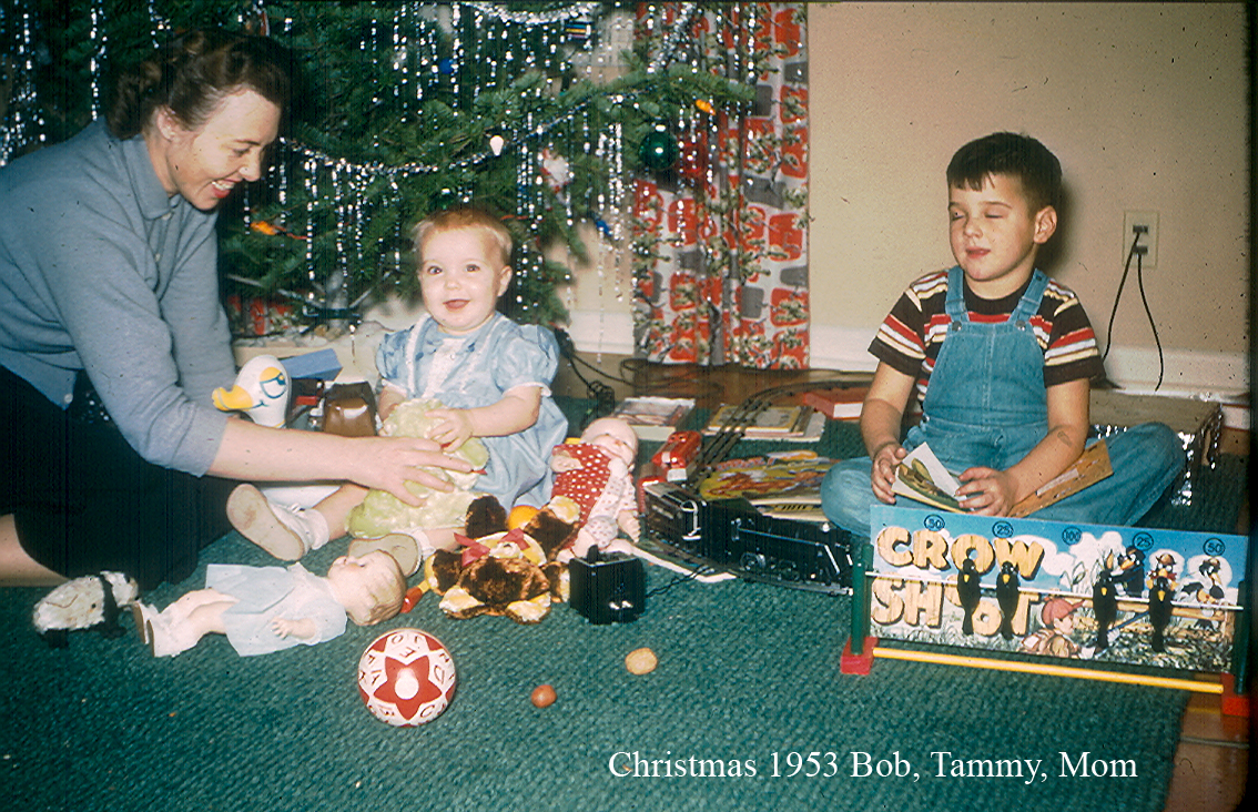 [christmas100.jpg]