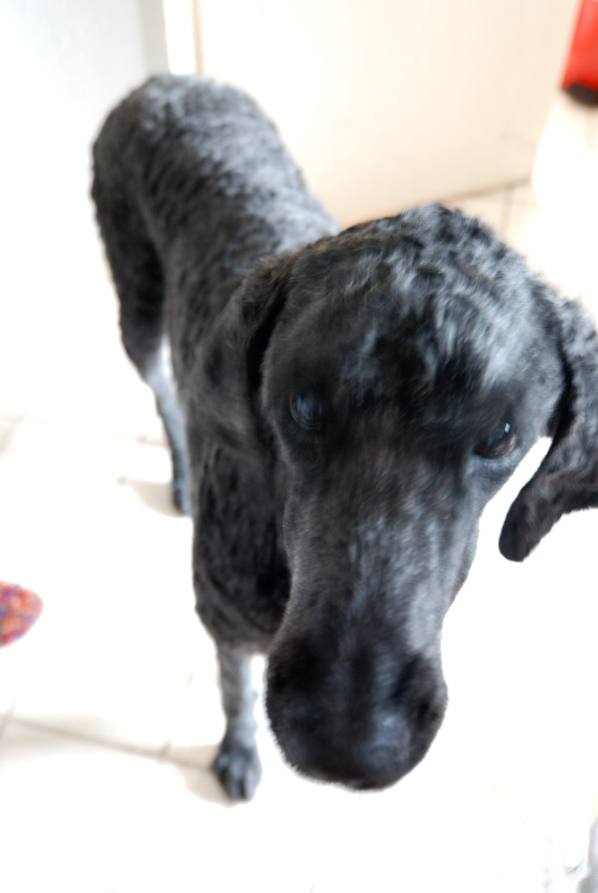 [12932+ludd-snurre.jpg]