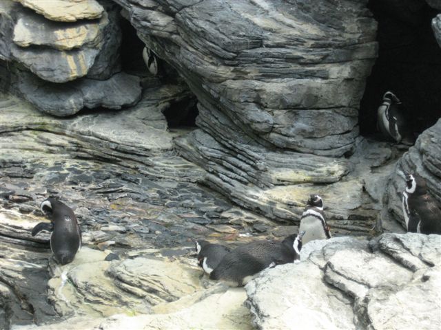 [IMG_5272.JPG]