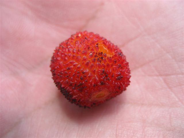 [IMG_5567.JPG]