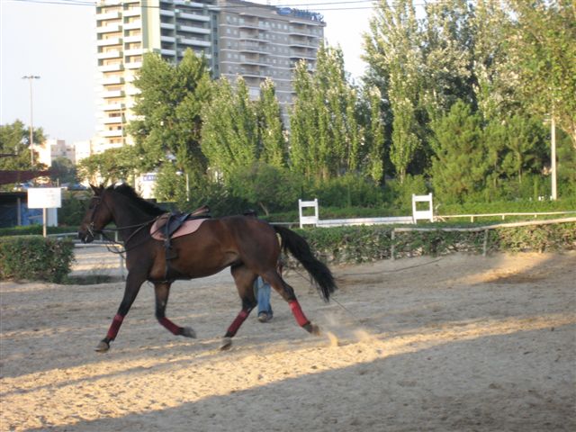 [IMG_6101.JPG]