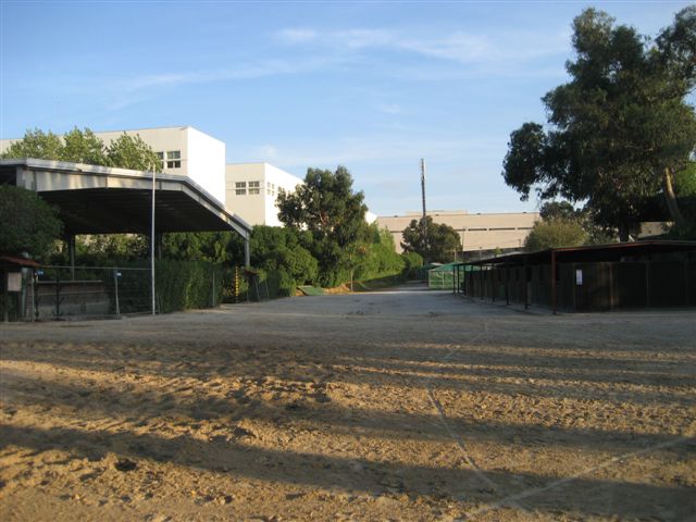 [IMG_6085.JPG]