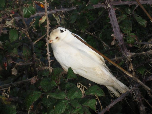 [IMG_6931.JPG]
