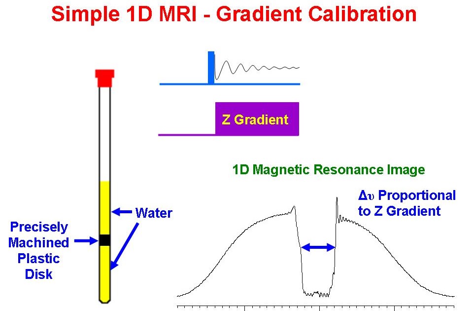 University of Ottawa NMR Facility Blog Gradient Calibration 1D MRI