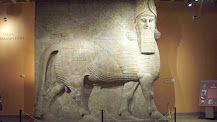 The Giant Assyrian Lamassu -- At the oriental Institute of the University of Chicago
