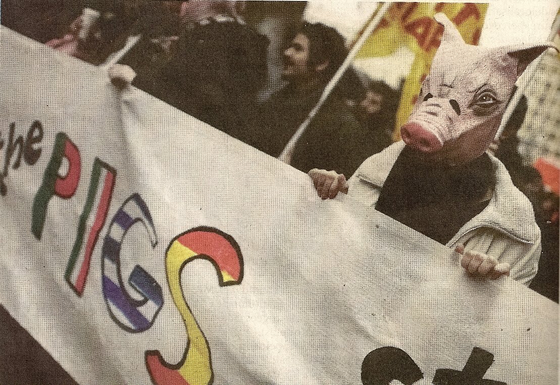 [PIGS0001.jpg]