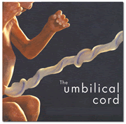 Baby and umbilical cord