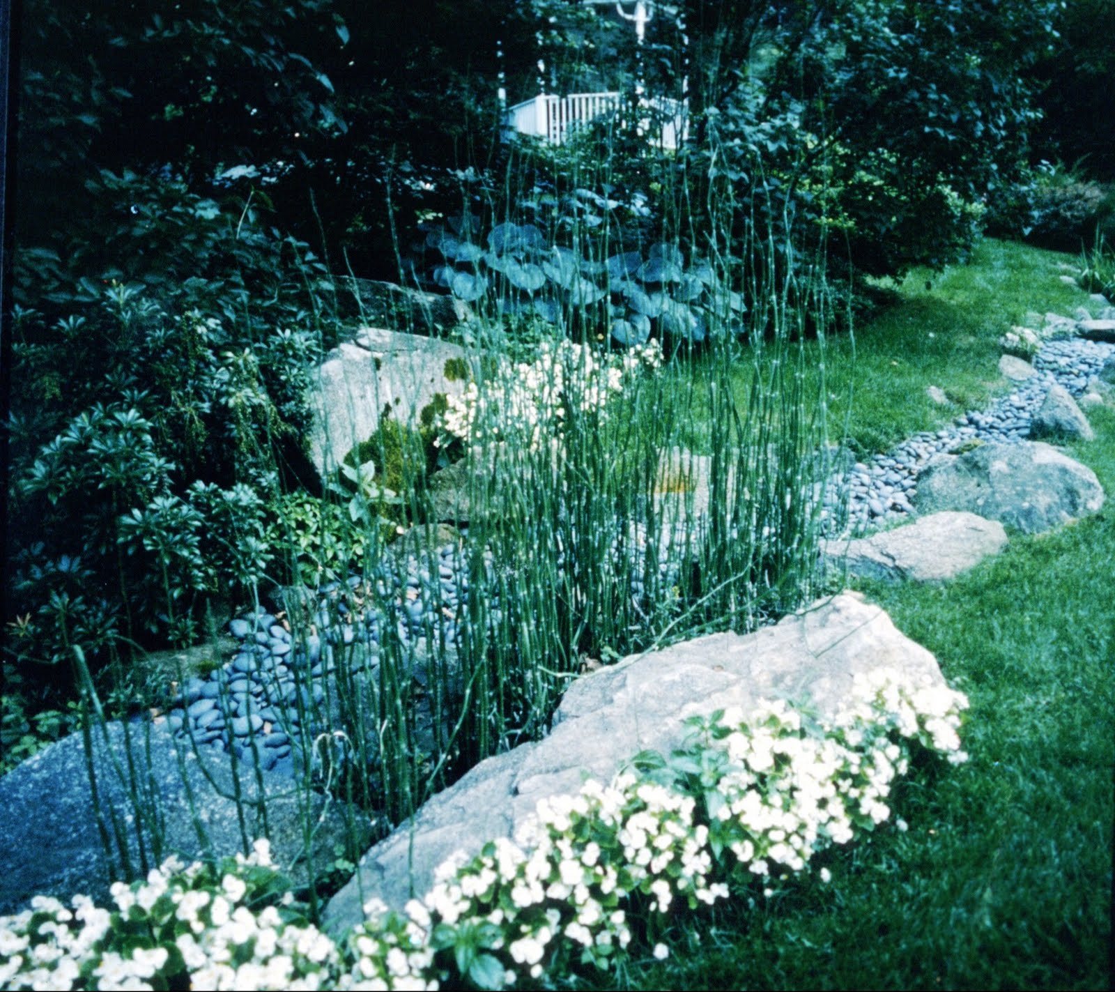 Serenity in the Garden Creating a Serenity Garden why? how? NOW