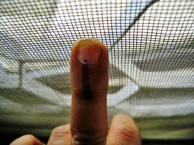 finger with indelible ink mark used for voting