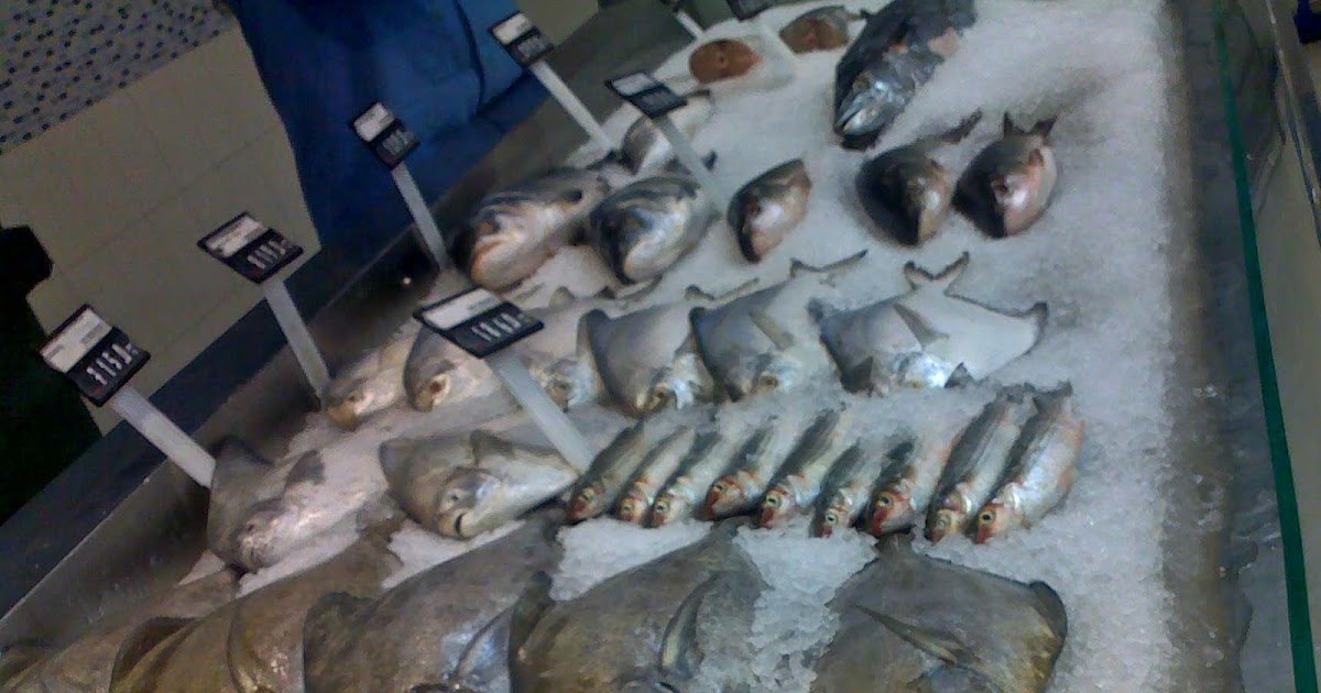 Stock Pictures Frozen fish at supermarket