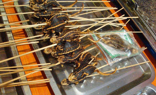 close-up of cooked insects