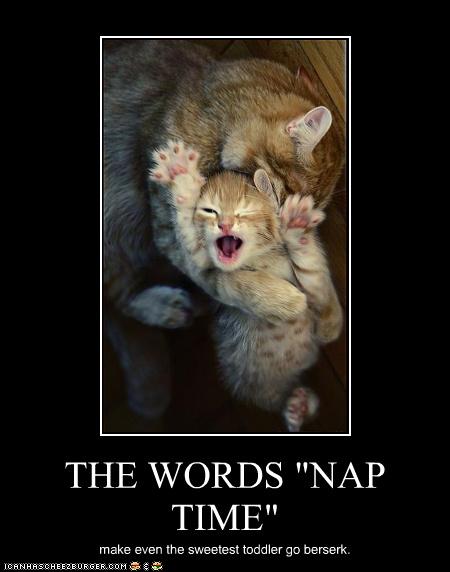 Nap Time Funny