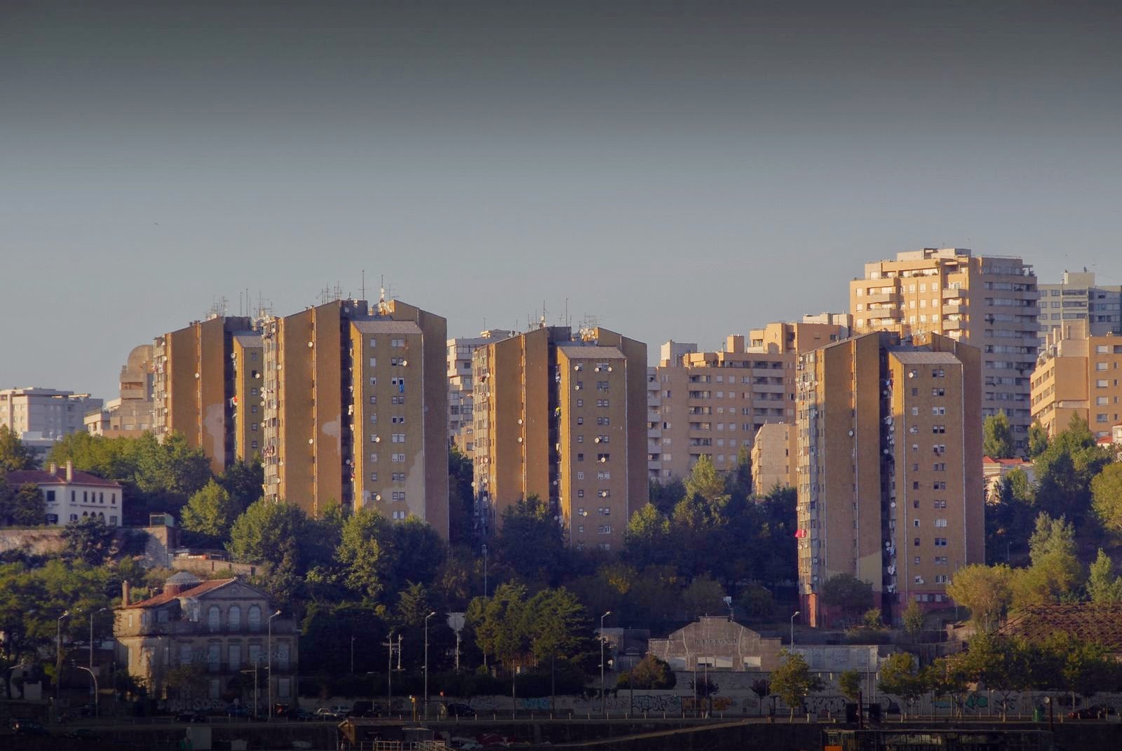 [FOL_5892.JPG]