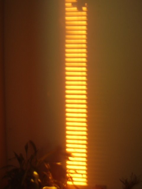 [P5030817.JPG]