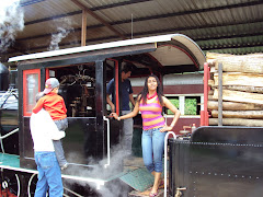 Passeio Turístico Histórico Cultural de Trem a Vapor