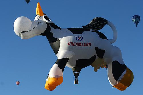 [globo-aerostatico-10.JPG]