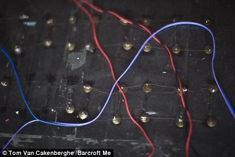 [panel-solar-pelo-humano-detalle.jpg]