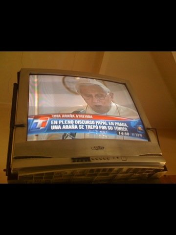 [Una-araña-atrevida.jpg]