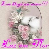 [luz.jpg]