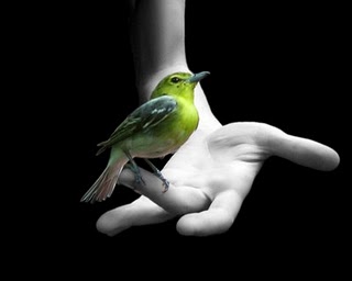 [3D-Bird.jpg]