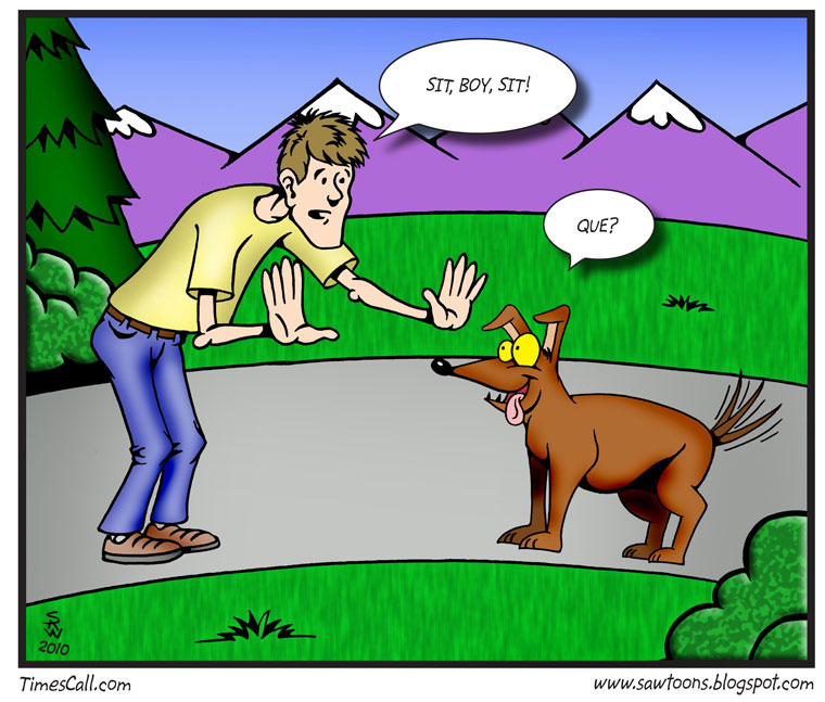 What Do Dogs Understand English