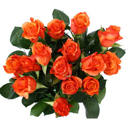 Feliz día a todas las madres del foro! Rosas+naranjas