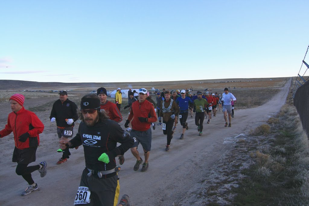 Antelope Island Buffalo Run