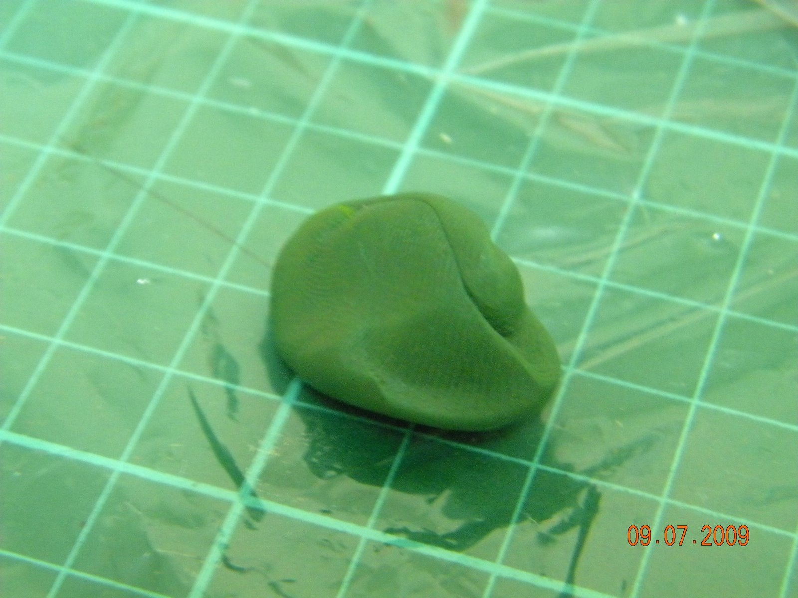 [DSCN0871.JPG]