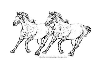 Horse Coloring Pages on Horse Coloring Pages Picture Above Is F Ree Horse Coloring Pages For