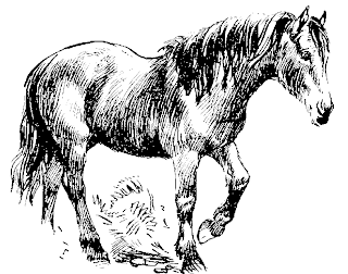 Printable Horse Coloring Pages Printable Horse Coloring Pages