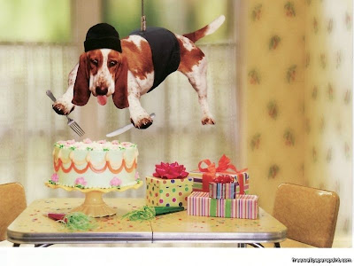 happy birthday images funny. funny penguins_18. happy birthday images funny.