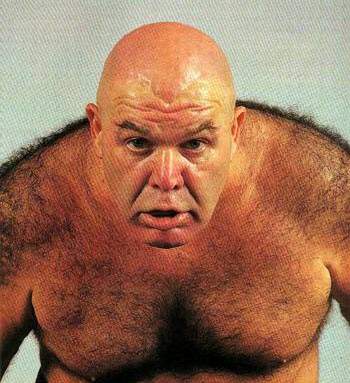 george-the-animal-steele.jpg