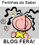 BLOG FERA