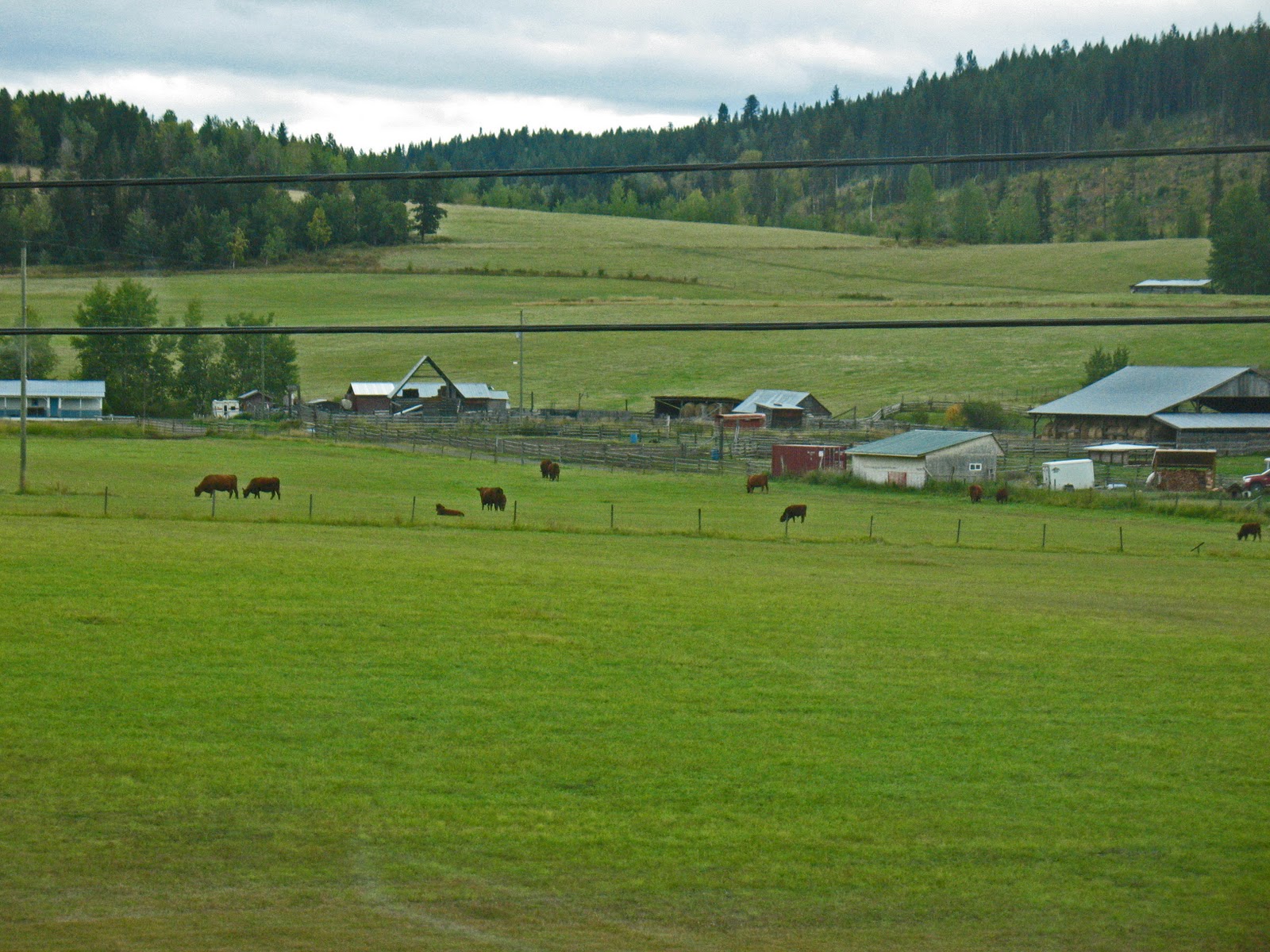 Herbal Connection A Drive to Horsefly