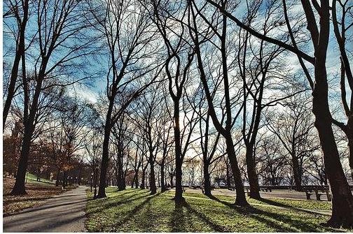 [riverside+park+nyc.htm]