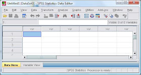 Segalanya Tentang Spss Menginput Data Pada Spss Bag 1