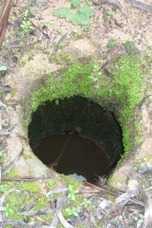 [Silos+Alcobertas+(3).JPG]