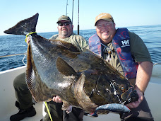 Hardfighting halibut finaly in the boat after a hard fight.