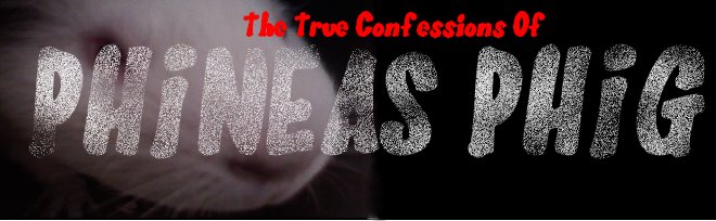 The True Confessions of Phineas Phig