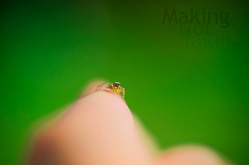 Making Not Taking: Tokina 90mm f/2.5 AT-X Macro - The