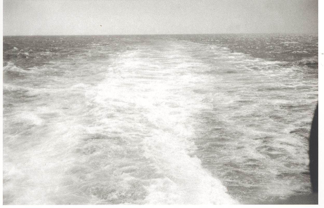 [F+002.jpg]
