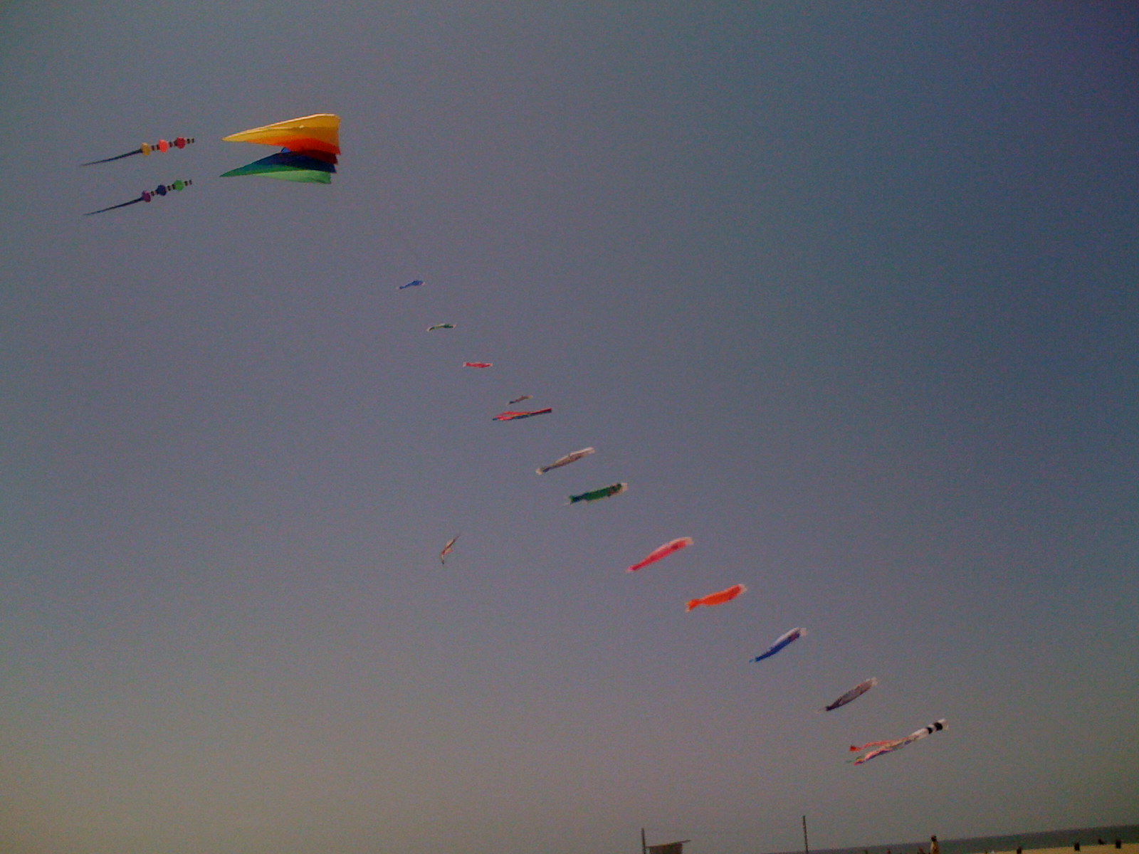 [IMG_0669.JPG]