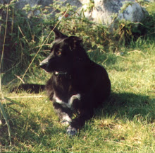 Le mie foto