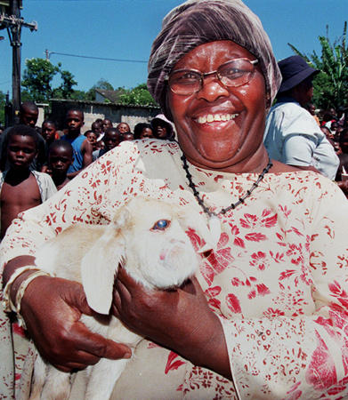 [cyclops-goat.jpg]