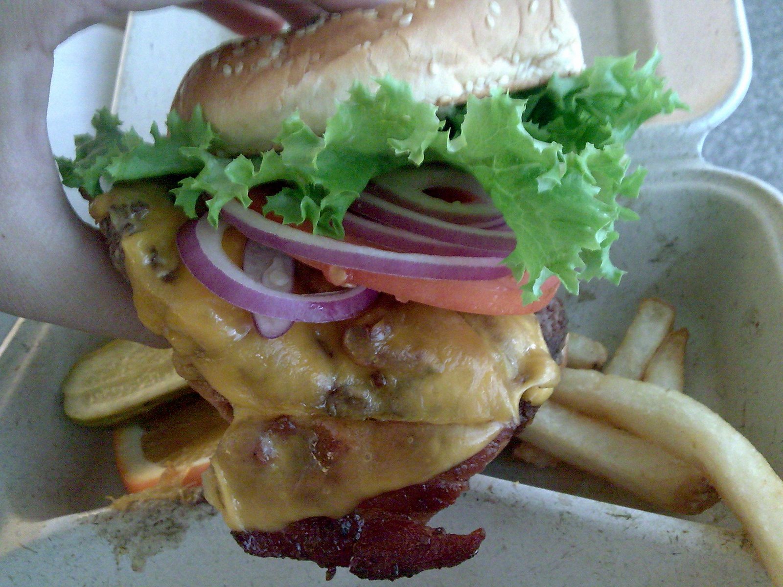 [Airport+burger,+bacon+cheeseburger.jpg]