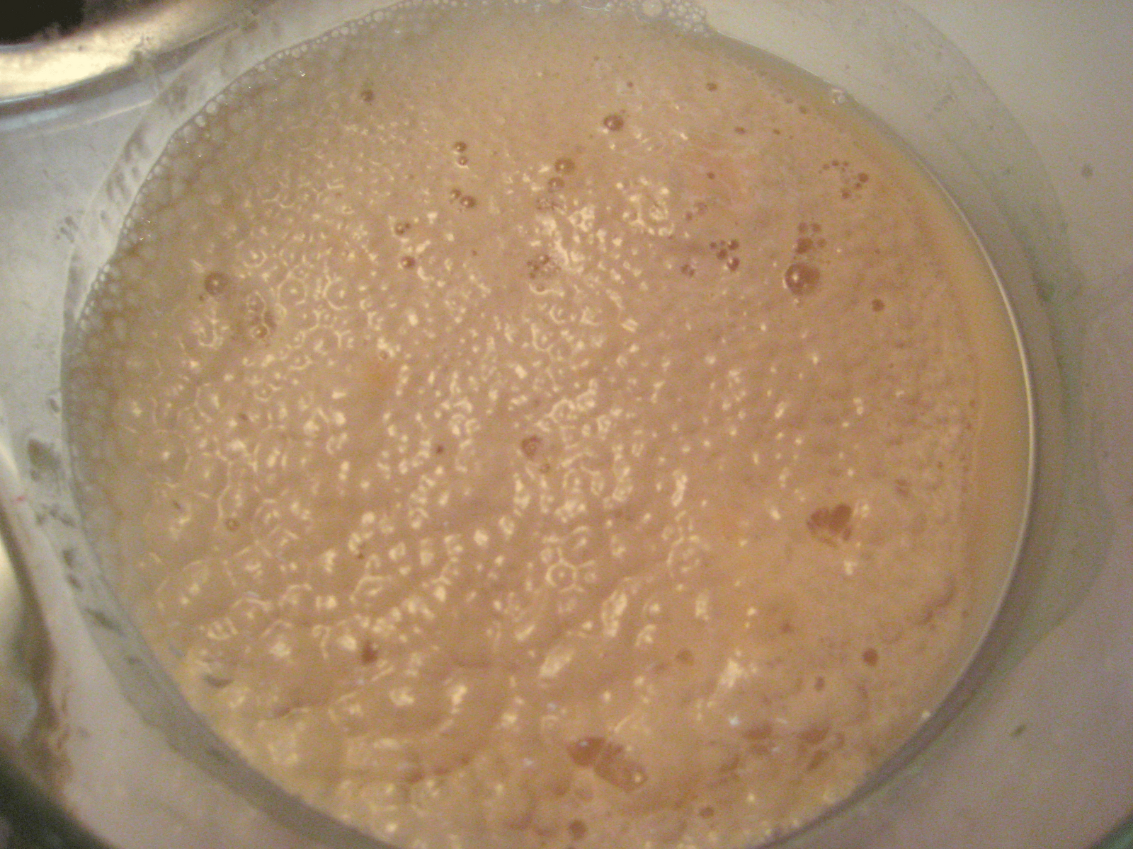 [frothyyeast.gif]