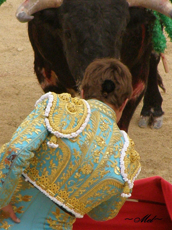 Ole Torero